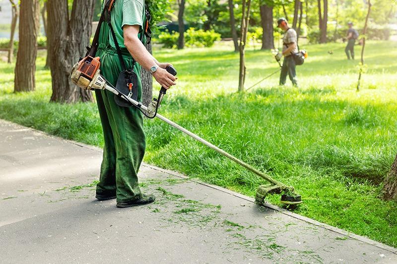 manutenzione del verde
